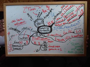 Equilibridges (9)