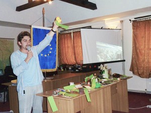 the Auction