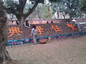 The oldest University in HaNoi